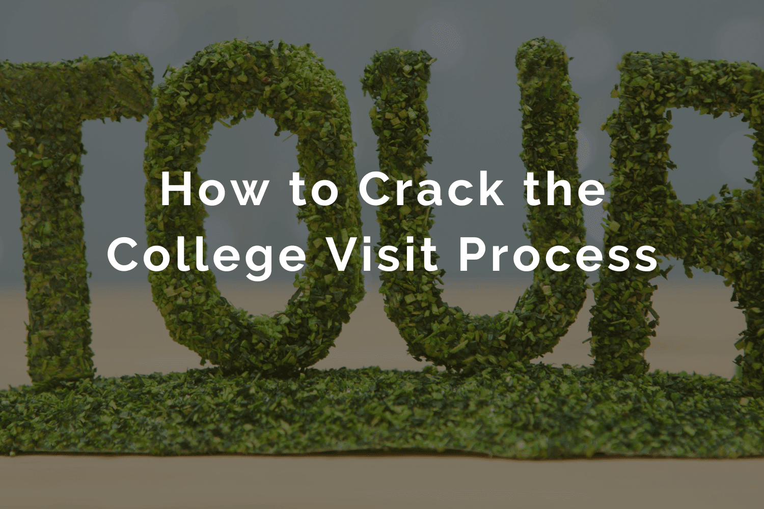 How to Write an Email to a College Admissions Office (with a sample!)